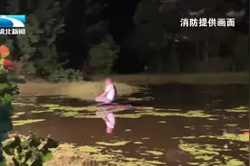 不讲武德！夜间相汇大车不关远光，小车司机被迫下塘“摸鱼”视频封面
