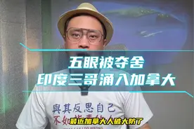 被夺舍的五眼，海量印度三哥涌入加拿大视频封面