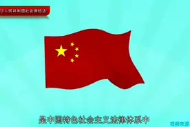 一分钟了解中华人民共和国社会保险法#法律常识 #法律科普视频封面
