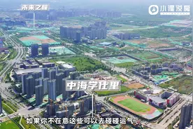 优等生就好比别人家的孩子 手握王炸惊艳开局视频封面