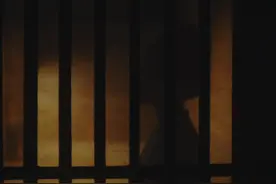 苏轼与王弗的结合，是北宋时期的一段爱情佳话，遗憾的是视频封面