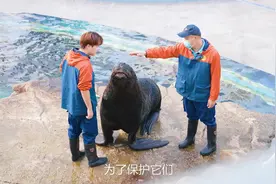 动物饲养员的日常——把你们养得白白胖胖是我们最有成就感的事儿视频封面