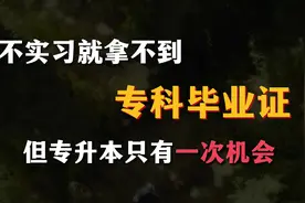 当实习遇上专升本该怎么办？两全其美的办法给大家献上了