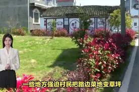 #雄安新区 这些村庄不会拆了 #美丽乡村 #和美乡村视频封面