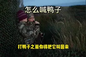 鸭子不喊是不会来的。必须用鸭哨把它们叫过来