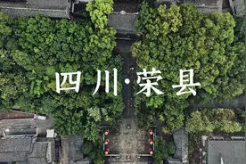 荣县大佛，石刻艺术瑰宝。 #文化遗产在抖音  #四川  #文物视频封面