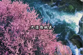 接下来的西安是这样的，看看你去过几个#西安旅游攻略视频封面