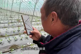 当农民用上豆包协助种菜，是种什么体验？ #农业种植 #AI助手视频封面