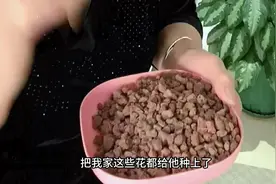 养花二十多年，才知道火山石种花原来这么好，果断全换火山石视频封面