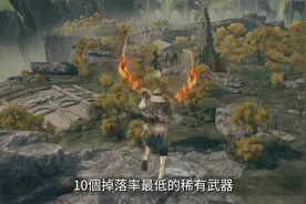 十大稀有武器！10把掉落率最低的武器，艾尔登法环刷装游戏攻略视频封面