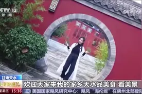【网推天水】CCTV13新闻频道：奋进强国路视频封面