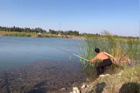 小钩细线遇大物，惊险溜鱼全程拍摄，真刺激！视频封面