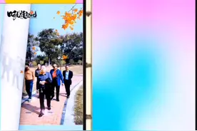 20241009武汉市黄陂区教育学会前小学数学理事会理事聚会视频封面