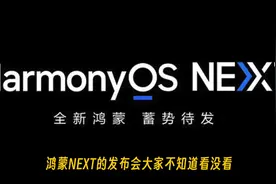 华为鸿蒙NEXT系统级一键关闭所有广告，开屏一去不复返#鸿蒙next视频封面
