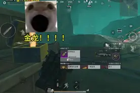 全服唯一金龙让我开到了！！！#和平精英刺激归来视频封面