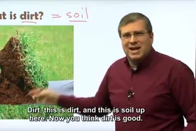 泥土是好的 Dirt is Good #英语学习