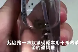 酒精还会发霉，真就实验室里活不了，生活中凑合着呗视频封面