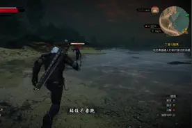 巫师3 狂猎 全剧情（主＋支）流程视频 地3集 百果园（2）视频封面