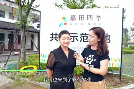 小小莲藕解锁“共富密码”，这么多品类的藕产品你不会还没吃过吧视频封面
