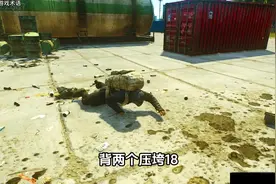 海关背猪，发财致富 #逃离塔科夫 #游戏日常视频封面