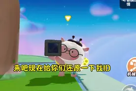 游戏ID只是一个代称，并不能代表什么。大家擦亮双眼，谨防被骗！