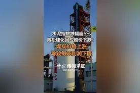水泥指数跌幅超5%青松建化回应股价下跌：“煤炭价格上涨，导致每吨利润下降”#水泥 #价格上涨 #青松建化 视频封面