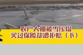 安华农业保险公司“大棚险”无法理赔，记者调查，发现种植户去年12月交的保费，保险合同在去年11月1日就已生效。保险期间被压缩，原因何在？视频封面