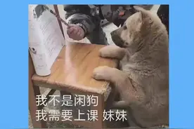 #听说1027是世界恋爱日 所以，哪些大学有”恋爱课”？凳子都准备好了！#奇奇怪怪的大学选修课 #大学 #高中生 @中国大学生在线 @抖音校园 @抖音短视频 视频封面
