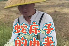 你知道蛇床子的由来吗？知道它有什么作用#大自然的馈赠 #自然生活课堂视频封面