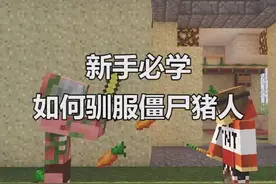 #我的世界 新手必学的小知识学到就是赚到！我一定不会坑新手的！@抖音小助手
