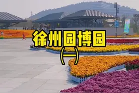 简单给大家说说园博园入园的几个注意事项。#景点打卡 #带你看风景 #徐州园博园视频封面