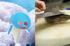 和  一起 #合拍 #王叶七式躲闪视频封面