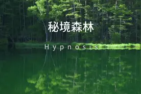【粤语频道】你种下的种子是什么样的？最后变成什么样的视频封面