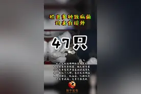 47只！检出多种致病菌，均来自境外#境外 #病菌视频封面