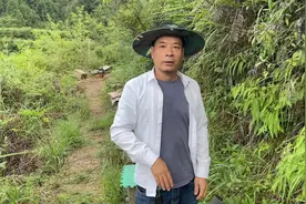 #教你一招查找蜂王变得如此简单视频封面