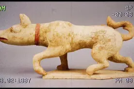 国外小拍抢救了一条“两千年前”的狗子🐶汉 陶狗摆件#海外回流视频封面