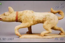 国外小拍抢救了一条“两千年前”的狗子🐶汉 陶狗摆件#海外回流视频封面