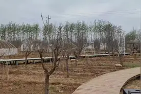 正定古城樱花小镇不适合清明节玩视频封面