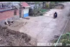 用毒箭射杀看门狗的偷狗贼终于被抓！！解恨！#2020年终笔记 #知识创作人 #一起涨知识视频封面