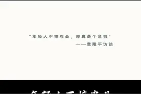 西沉就不再升起，划过天幕就不再回来，我们无法抵御浪潮，但会永远记得灯塔。#袁隆平 #石嫣 #农业视频封面