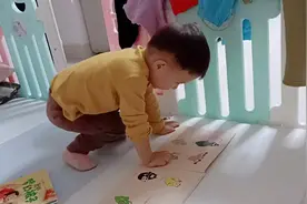 认识巴巴爸爸一家的衣服视频封面