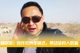 新疆尉犁：合作社养羊模式带动全村农户致富视频封面