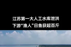 石梁河水库启动泄洪闸进行开闸泄洪 目前泄洪的流量为2500立方米每秒，伴随水流而下的鱼群肉眼可见，据游人介绍，下游有抓鱼能手日入百斤鱼获。#东海 #石梁河水库 #旅行 #最美的风景在路上 #祖国的大好河山 视频封面