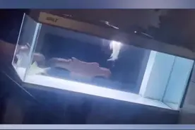 近日，广西横县一男子钓到两条大鱼，因鱼很好看就养了起来，结果意想不到的事情发生了…视频封面