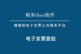 电子发票查验#ofd格式 #税务ukey视频封面