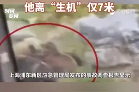细节公布！上海26岁饲养员被熊群咬死，最新调查报告：他离“生机”仅7米#饲养员被熊群撕咬视频封面