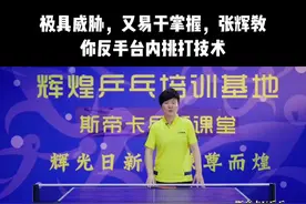 极具威胁，又易于掌握，张辉教你反手台内挑打技术。#乒乓球 #国球乒乓 #乒乓球教学 #乒乓 #乒乓球训练 #乒乓球比赛 #辉煌乒乓培训基地 #国乒 #世界冠军 #乒乓球教学视频封面