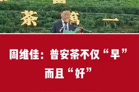 周维佳：普安茶不仅“早”，而且“好”视频封面