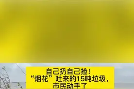 自己扔自己捡，烟花吐出来的15吨垃圾，市民动手了#上海#烟花#垃圾#净滩#志愿者#滨江公园 #海滩视频封面
