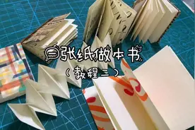 #手作 #仙人掌异想天开手制书 一张纸做本书的第二种方法来了。@DOU+小助手视频封面
